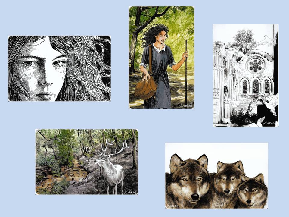 Boîtes Soroptimist - JC.jpg